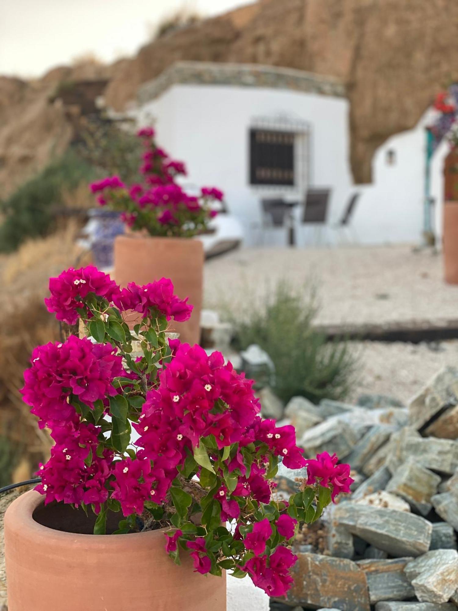 Cuevas Oro Y Arcilla Villa Guadix Luaran gambar